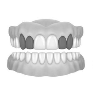 2X Canine & Lateral