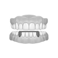 Bottom Canines & Bar