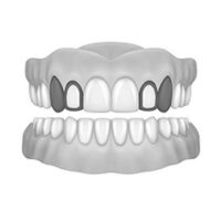 2X Window Lateral & Canine