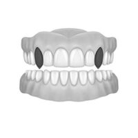 2 Top Vampire Canines