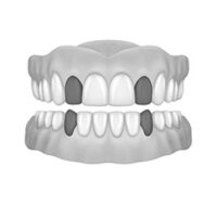 2X Top Lat - Bottom Canine
